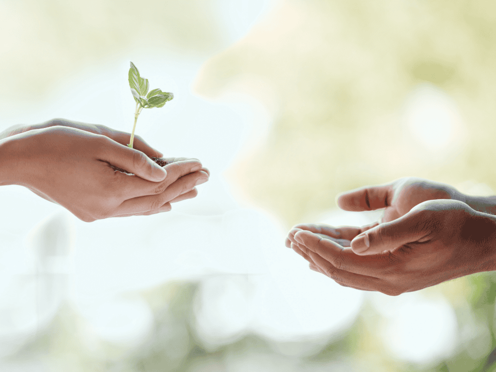 Charitable Strategies Should Reflect Family Values