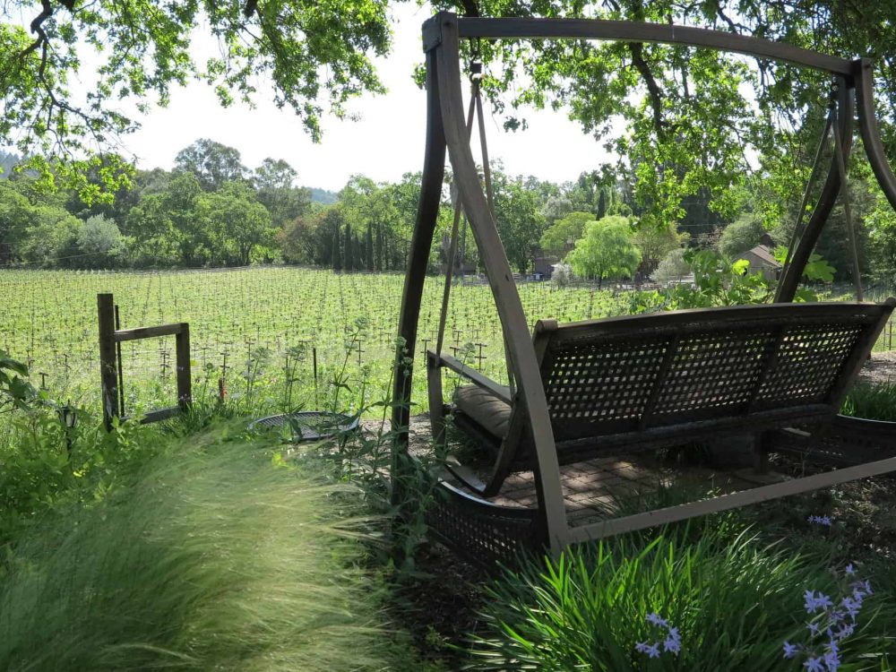 A swing overlooking a vineyard
