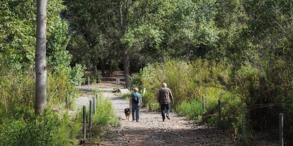 Elderly couple on a walk with their dog active seniors baby boomers grandparents tonythetigersson