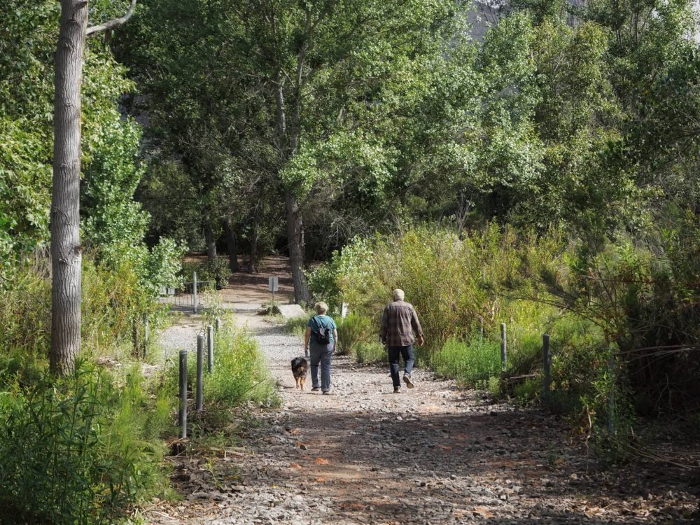 Elderly couple on a walk with their dog active seniors baby boomers grandparents tonythetigersson