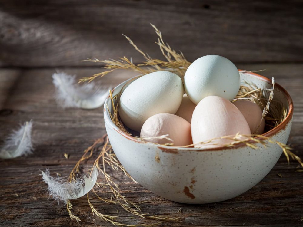 Free range eggs with hen feathers. Eggs from free range.